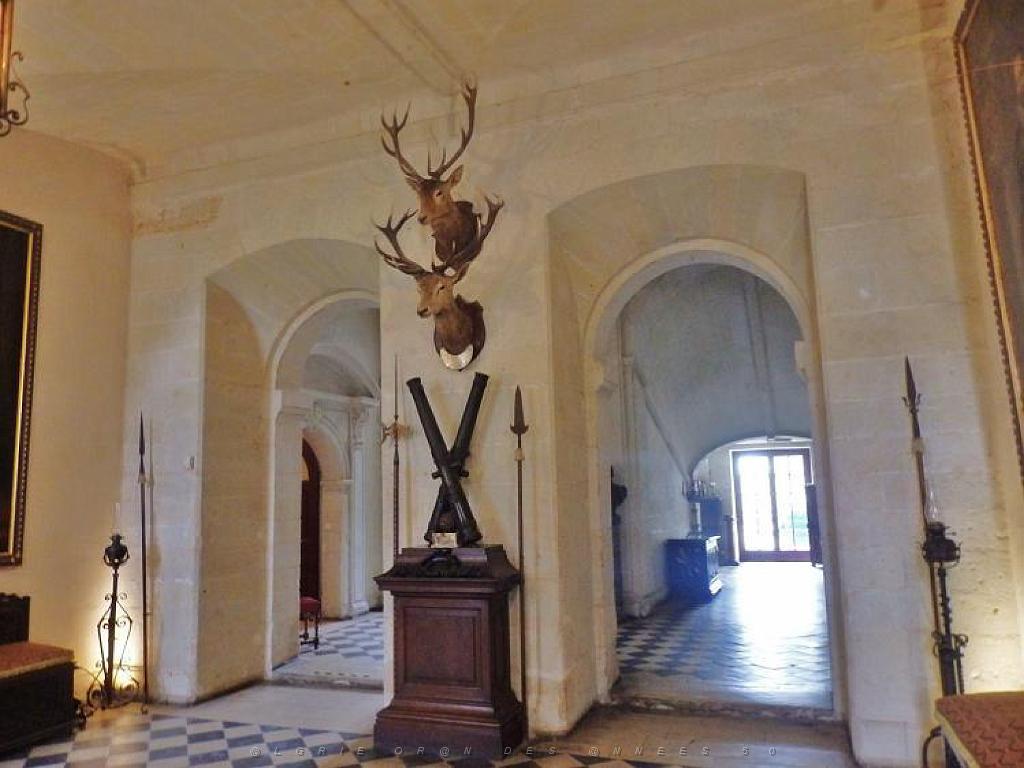 149 CHATEAU DE BRISSAC MAINE ET LOIRE 2016 N2_000007.jpg
